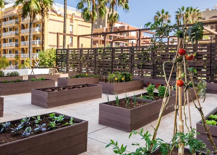 Hotel Be Live Adults Only Tenerife